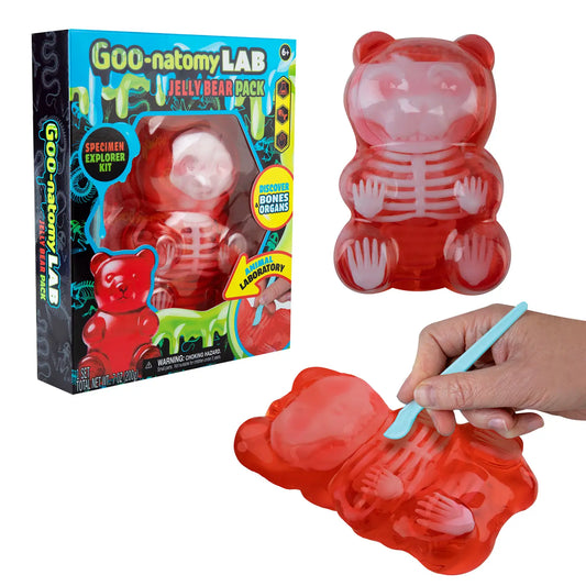 Goo-natomy Lab Bear Squishy-290 Home/Gift- Simply Simpson's Boutique is a Women's Online Fashion Boutique Located in Jupiter, Florida