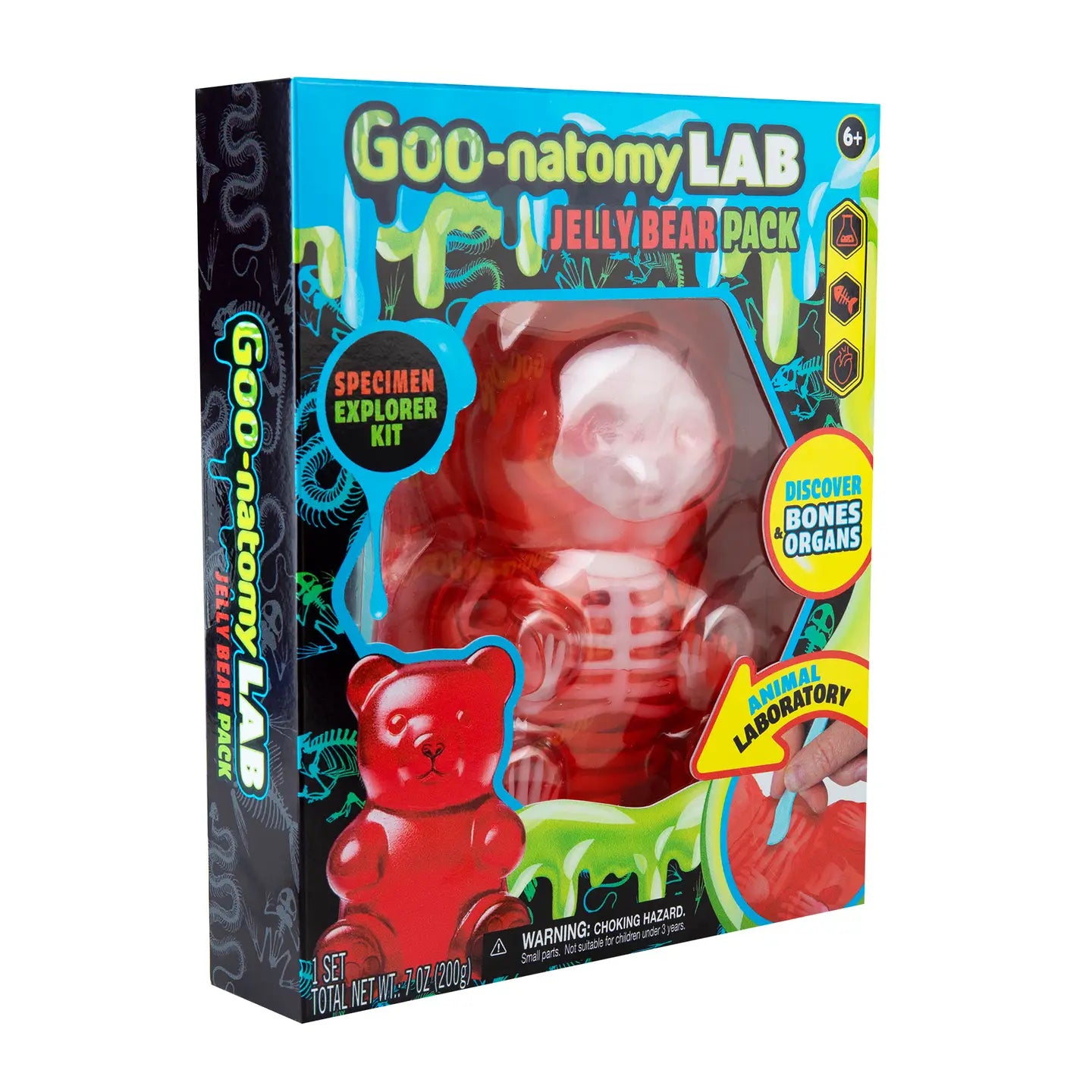 Goo-natomy Lab Bear Squishy-290 Home/Gift- Simply Simpson's Boutique is a Women's Online Fashion Boutique Located in Jupiter, Florida