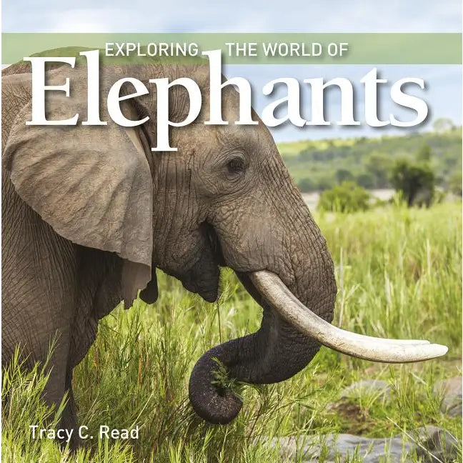 Exploring the World of Elephants Book