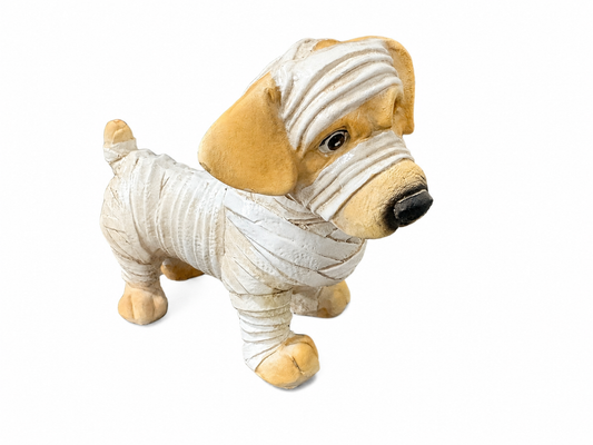 Mummy Dog-290 Home/Gift- Simply Simpson's Boutique is a Women's Online Fashion Boutique Located in Jupiter, Florida