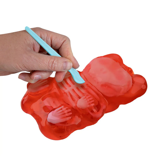 Goo-natomy Lab Bear Squishy-290 Home/Gift- Simply Simpson's Boutique is a Women's Online Fashion Boutique Located in Jupiter, Florida