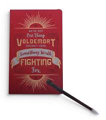 We've Got One Thing Voldemor Doesn't Book