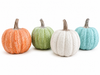 Textured Harvest Pumpkins-290 Home/Gift- Simply Simpson's Boutique is a Women's Online Fashion Boutique Located in Jupiter, Florida