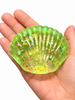 Sparkling Seashell Maltose Squishy