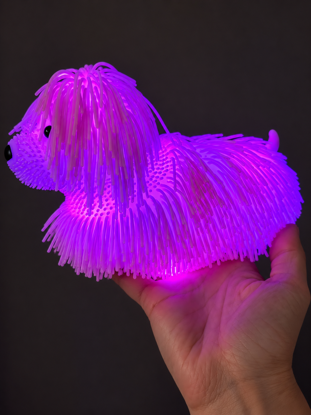 Jumbo LED Fuzzy Squishy Dog(Assorted Colors)