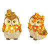 Fall Foliage Hoot Owl with Lights