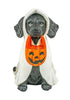 Costumed Puppies Sitter-290 Home/Gift- Simply Simpson's Boutique is a Women's Online Fashion Boutique Located in Jupiter, Florida