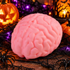 Jumbo Brain Squishy-290 Home/Gift- Simply Simpson's Boutique is a Women's Online Fashion Boutique Located in Jupiter, Florida