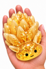 Sugar Swaps Sheep Sea Slugs-290 Home/Gift- Simply Simpson's Boutique is a Women's Online Fashion Boutique Located in Jupiter, Florida
