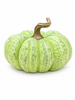Flat Textured Harvest Pumpkins-290 Home/Gift- Simply Simpson's Boutique is a Women's Online Fashion Boutique Located in Jupiter, Florida