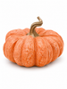 Flat Textured Harvest Pumpkins-290 Home/Gift- Simply Simpson's Boutique is a Women's Online Fashion Boutique Located in Jupiter, Florida