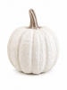 Textured Harvest Pumpkins-290 Home/Gift- Simply Simpson's Boutique is a Women's Online Fashion Boutique Located in Jupiter, Florida