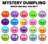 Blind Box Squishy Steamer Dumpling-290 Home/Gift- Simply Simpson's Boutique is a Women's Online Fashion Boutique Located in Jupiter, Florida