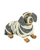 Costumed Pupper Tabletop